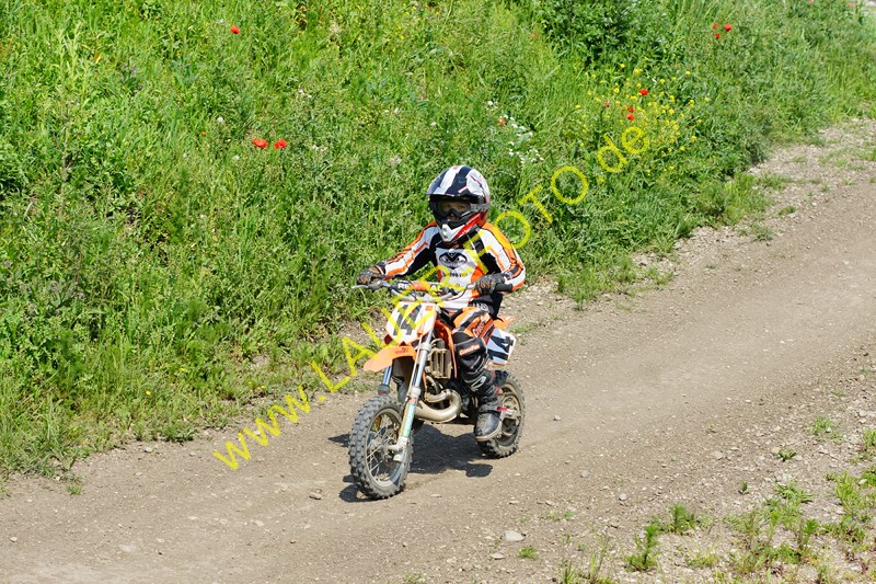 24.5.14 Lauer-Foto 1600Kinder