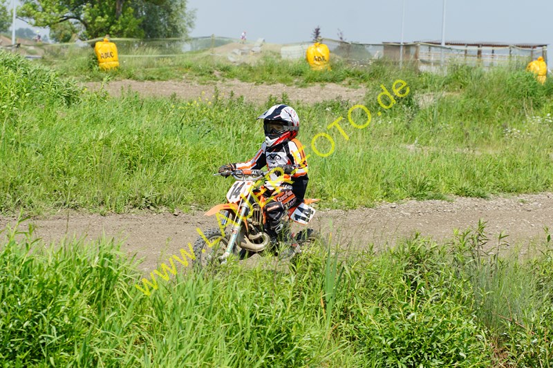 24.5.14 Lauer-Foto 1653Kinder