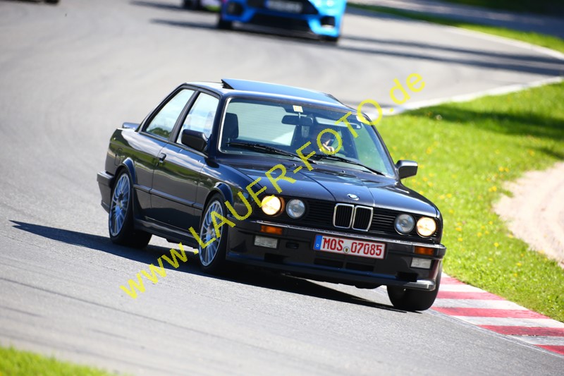 Lauer BMW 229