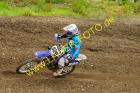 Lauer-Foto MX2.1 Race1  (259)