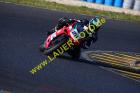 Lauer-Foto Racer 418